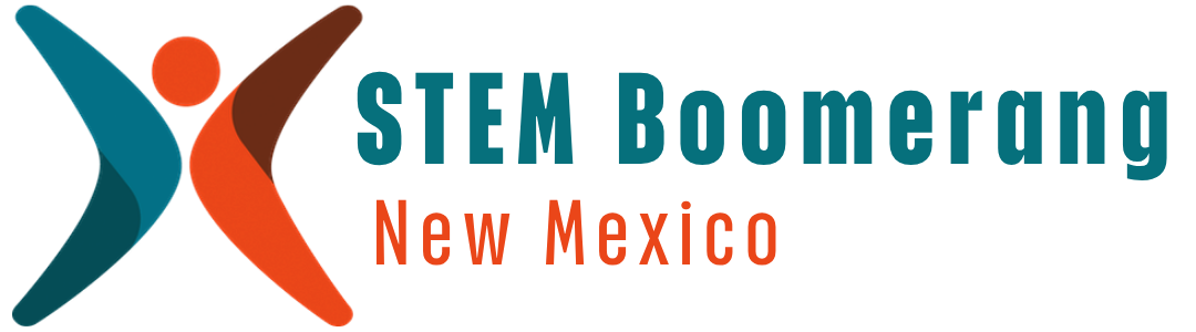 STEM Boomerang